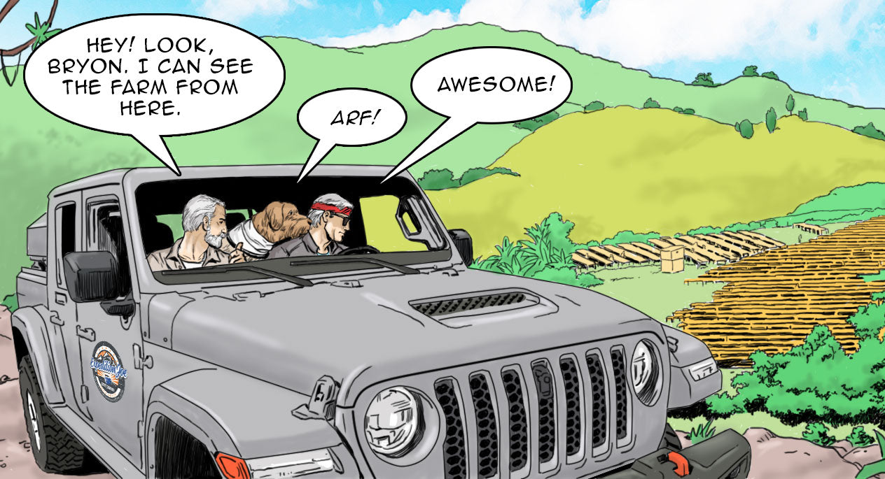 The Farm - Episode 2