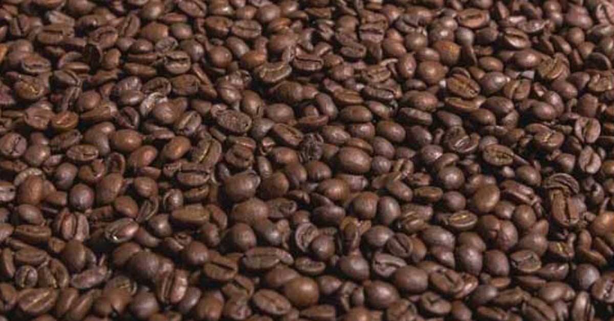 Expedition Joe Coffee Bean Roast Profiles - Sumatra and Ethiopian