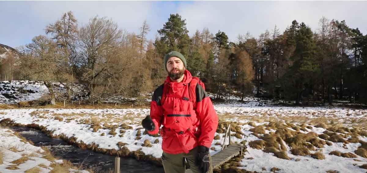 A video from Jamie Kunka on How to make Pine Needle Tea, History, Medicinal properties & Poisonous trees to avoid